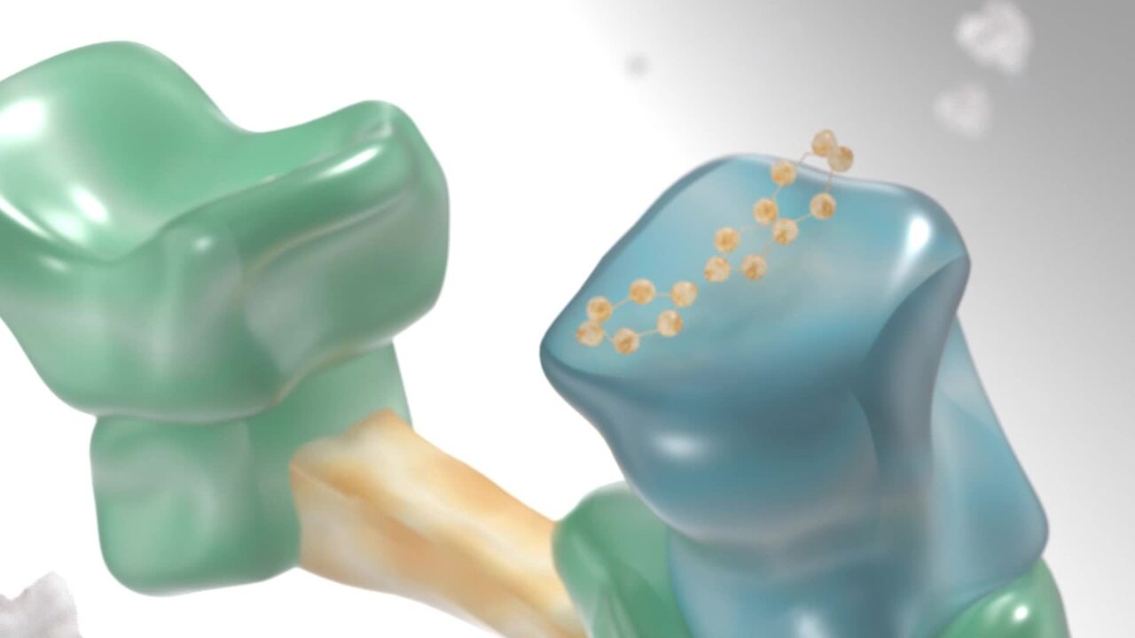 Video Link: Protein Degradation with Molecular Glue