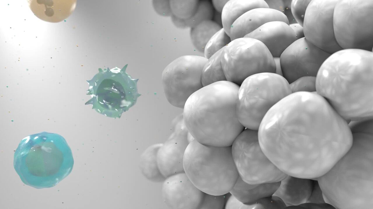 Video Link: The Tumor Microenvironment