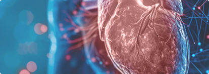 Cardiovascular